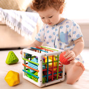 Montessori baby toy shape sorter