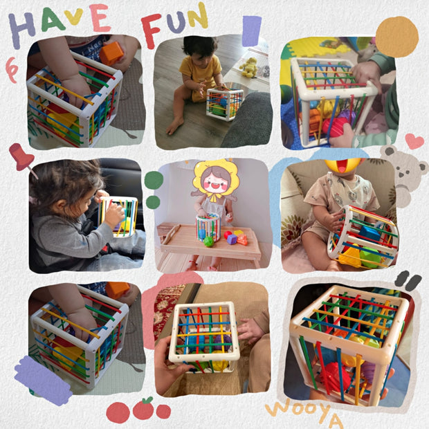 Montessori baby toy shape sorter